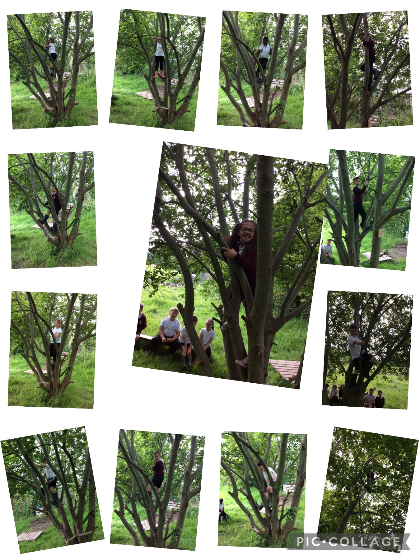 img-2282-747204_748891.jpg